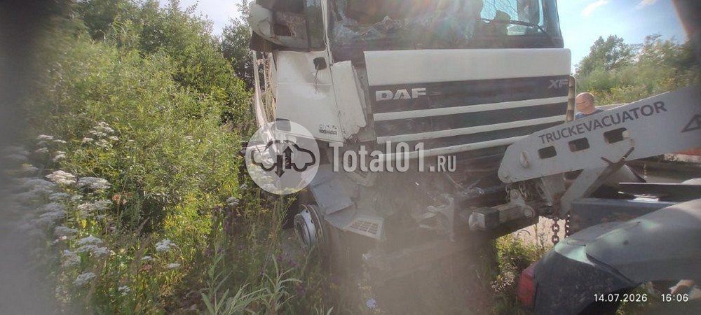 Фото DAF FT XF105 460 8