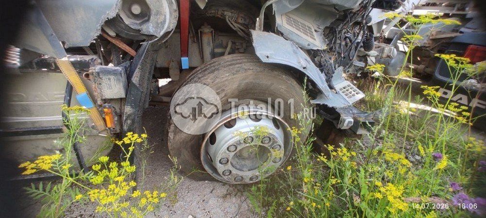 Фото DAF FT XF105 460 12