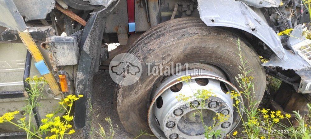 Фото DAF FT XF105 460 14
