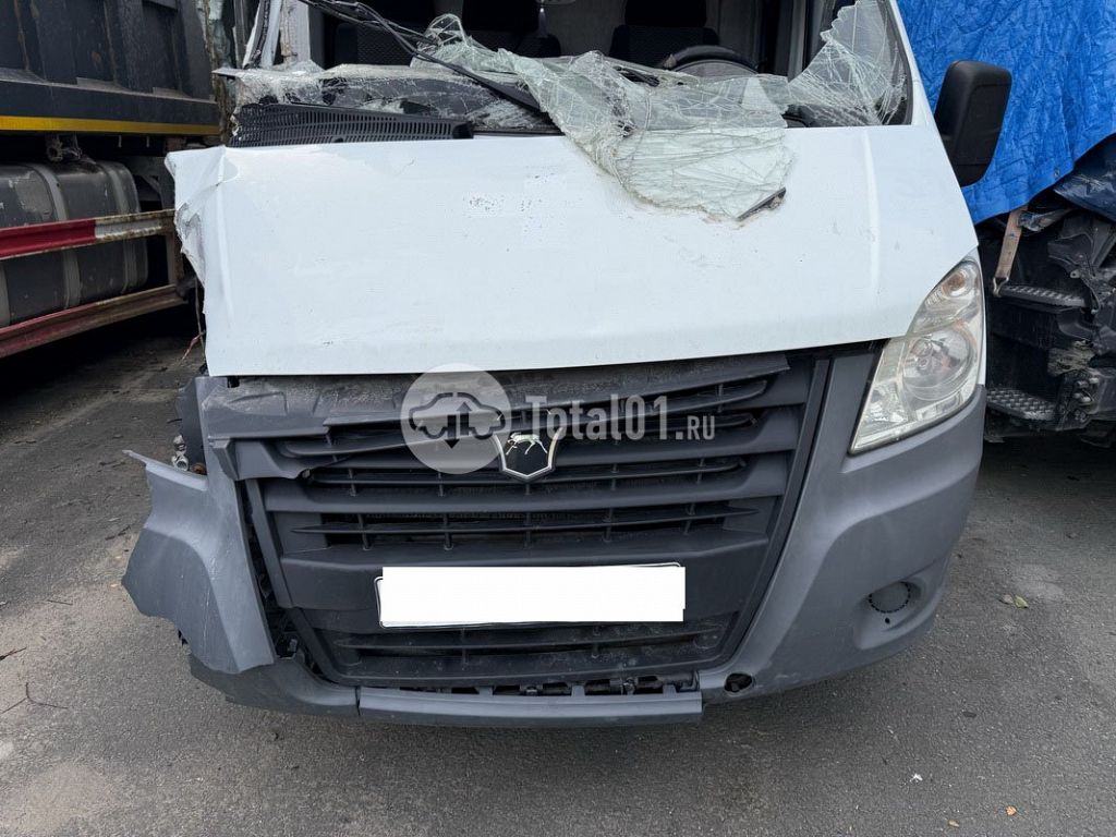 Фото ГАЗ 3009Z6 196