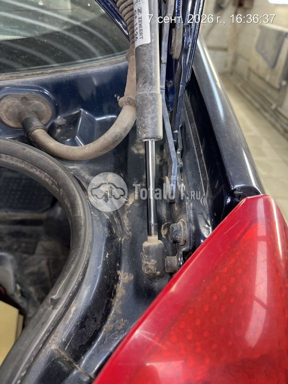 Фото Nissan Primera 22