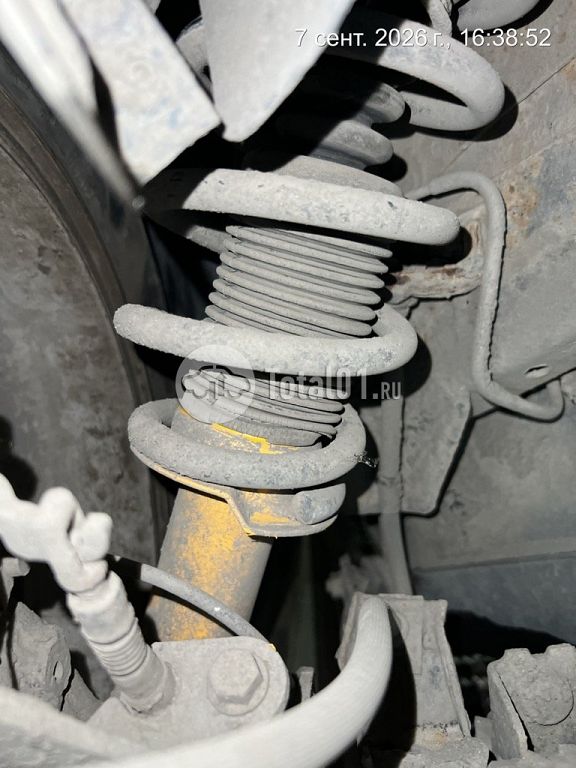 Фото Nissan Primera 24