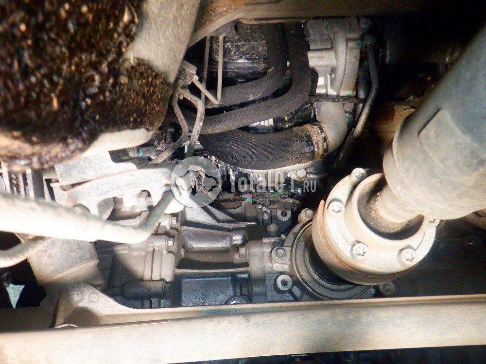 Фото Haval F7 248