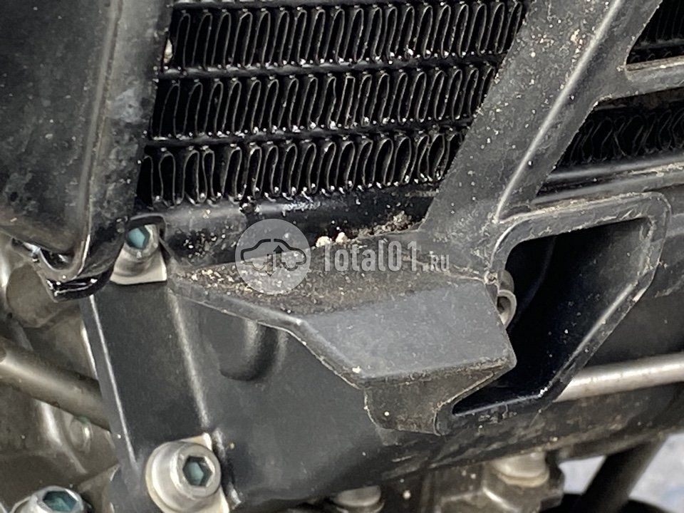 Фото BMW G 310 R 30