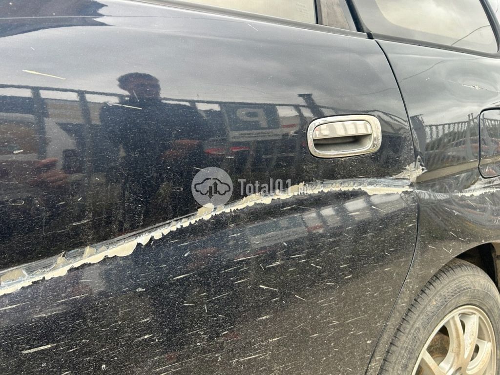 Фото Toyota Gaia 52