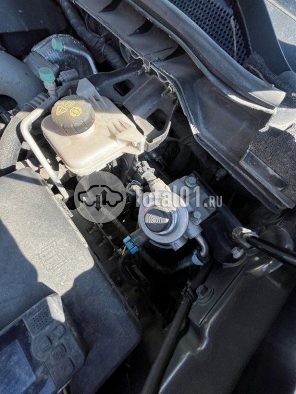 Фото Ford Ranger 186