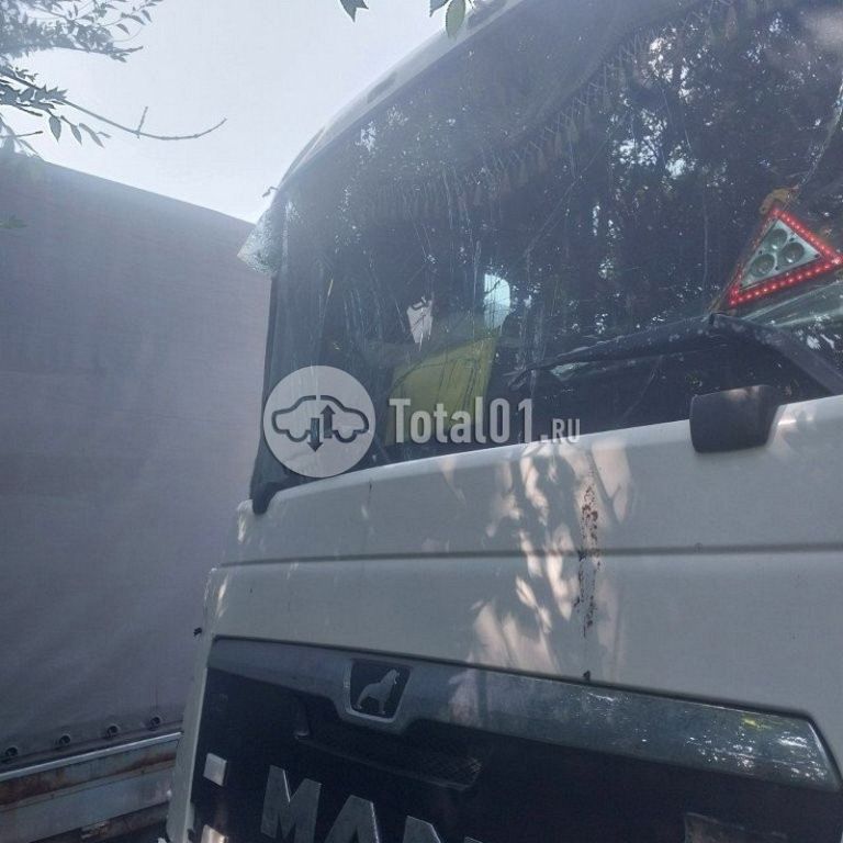 Фото MAN TGS 12