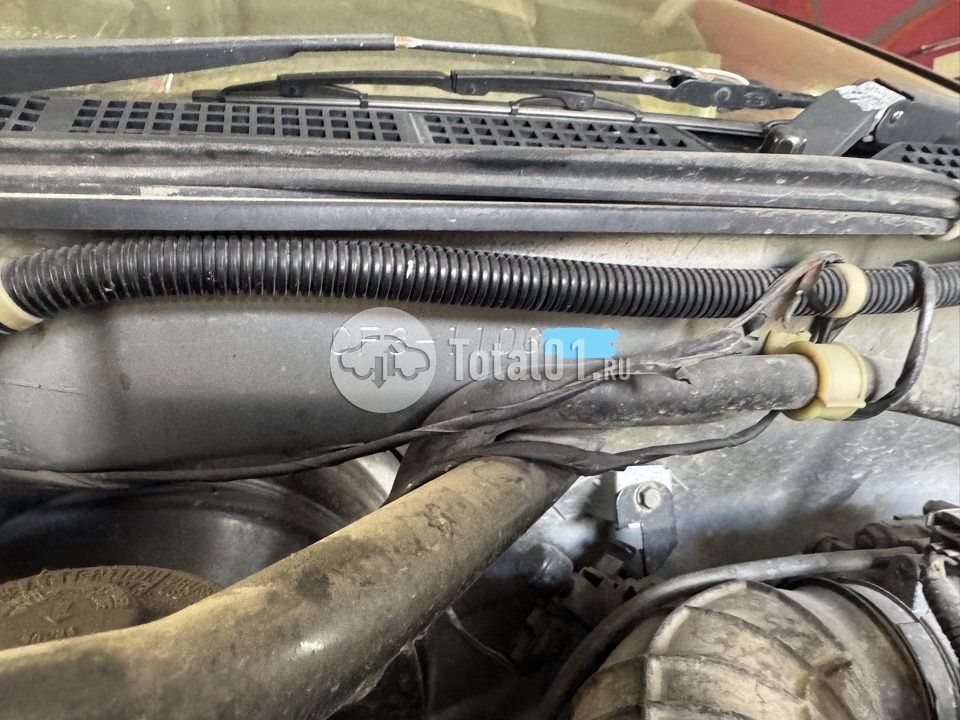 Фото Honda Torneo 100