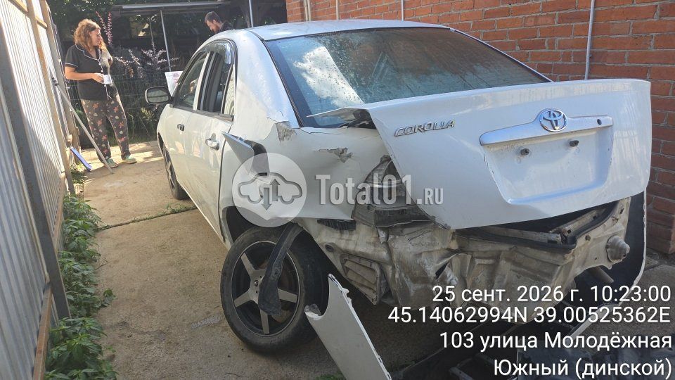 Фото Toyota Corolla 12