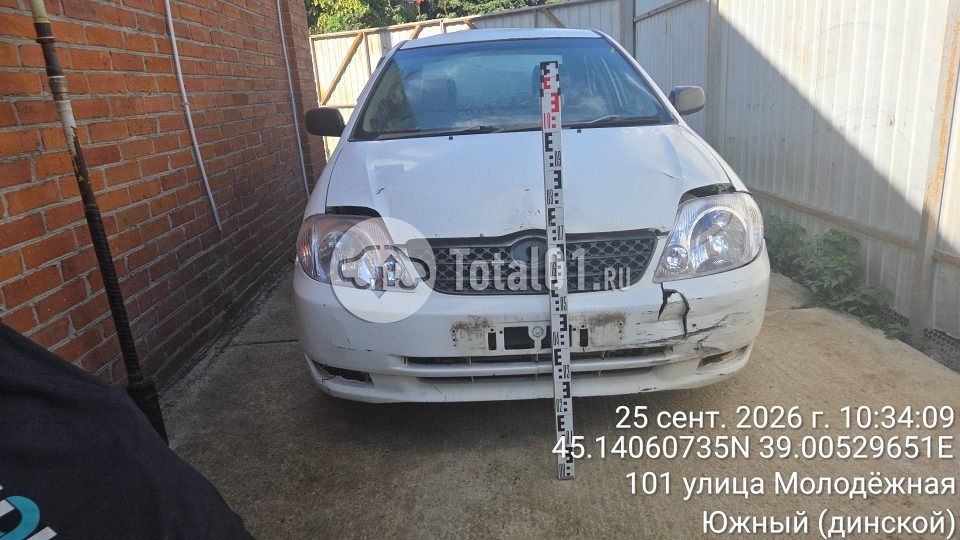 Фото Toyota Corolla 24