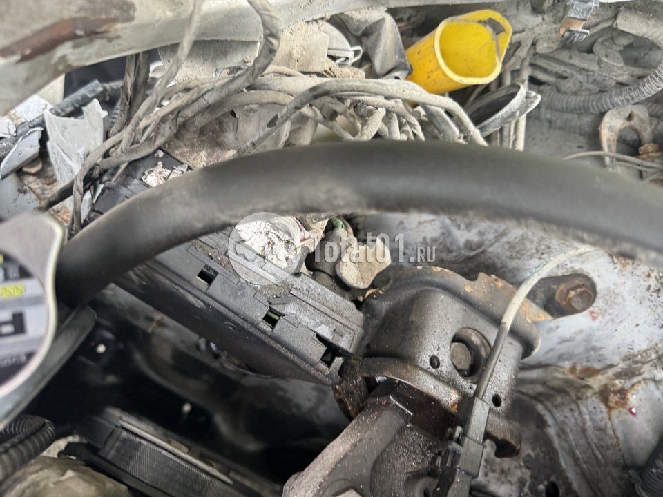 Фото Toyota Corolla 60