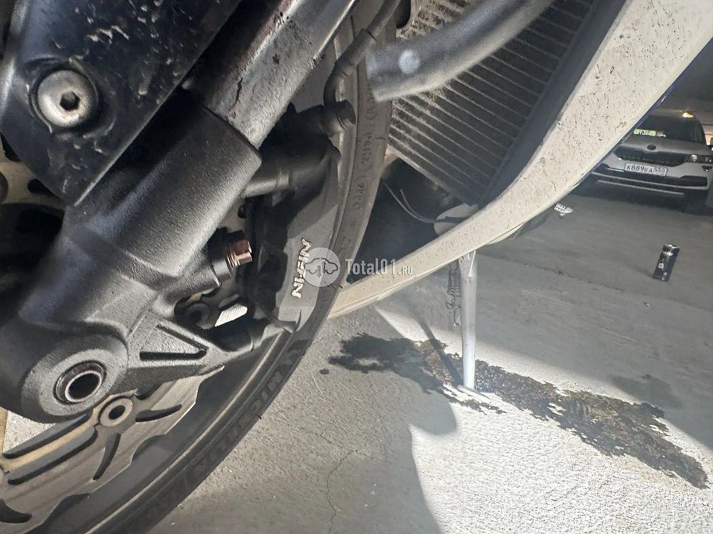 Фото Triumph Speed Triple RS 28