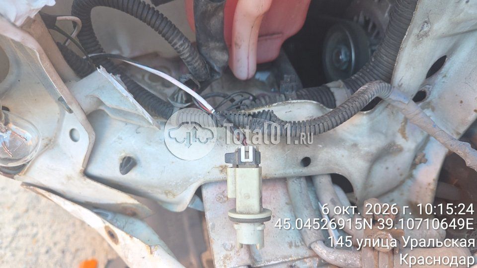 Фото Nissan Sunny 42