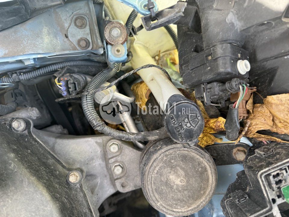Фото Toyota Vitz 106