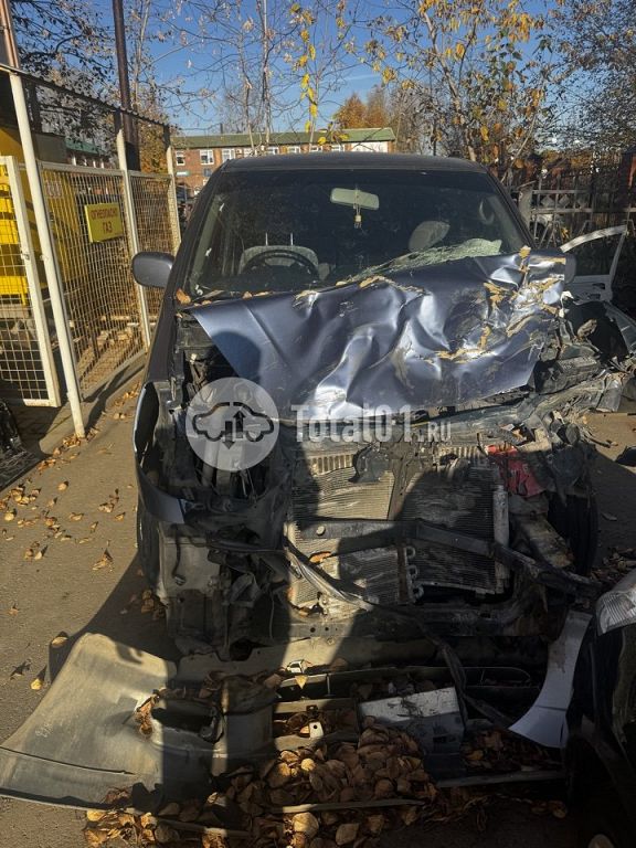 Фото Nissan Serena 10