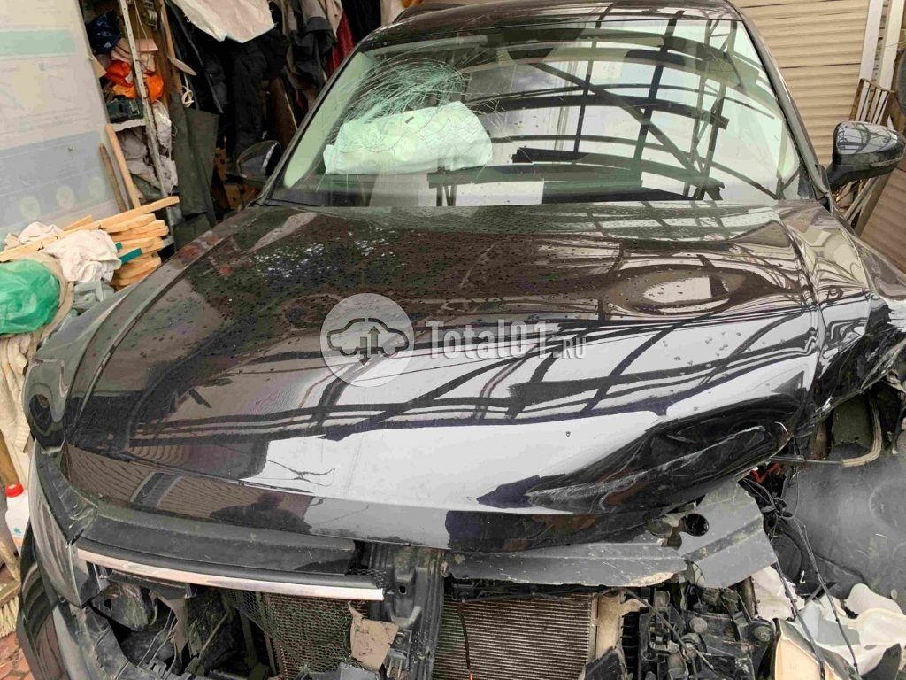 Фото Volkswagen Tiguan 238