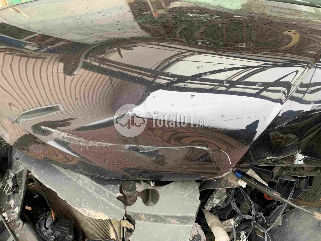 Фото Volkswagen Tiguan 246