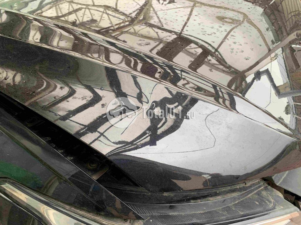 Фото Volkswagen Tiguan 252