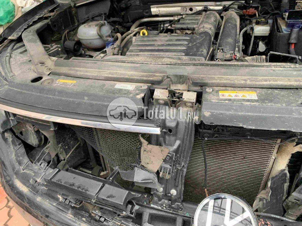 Фото Volkswagen Tiguan 328