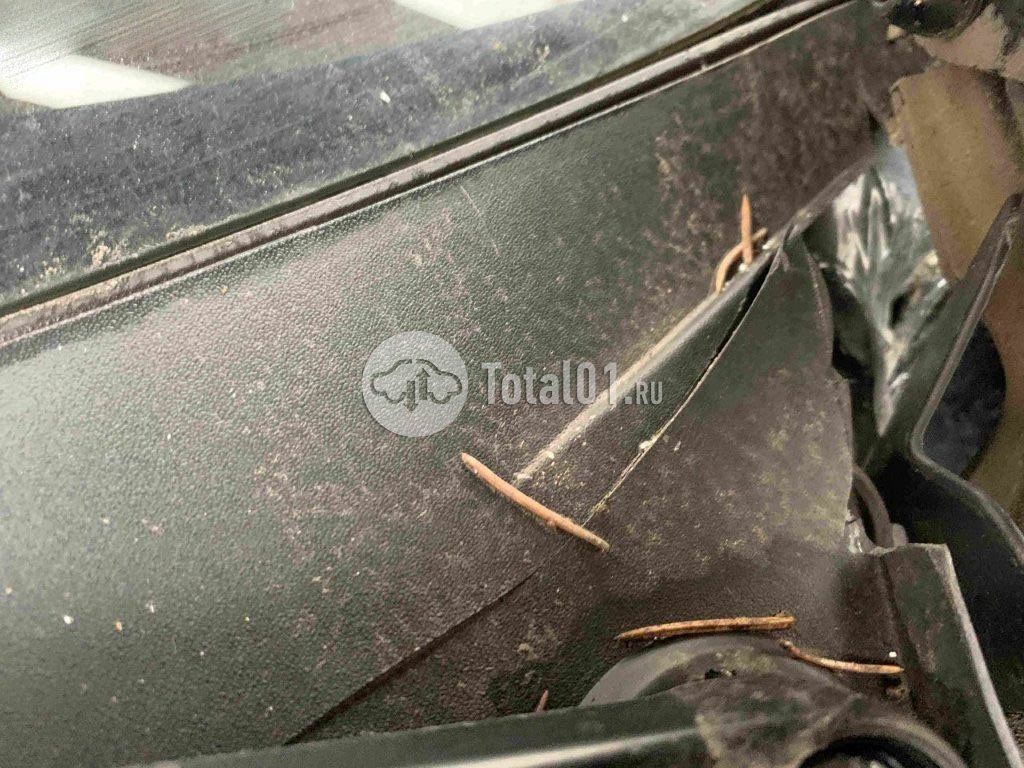 Фото Volkswagen Tiguan 444