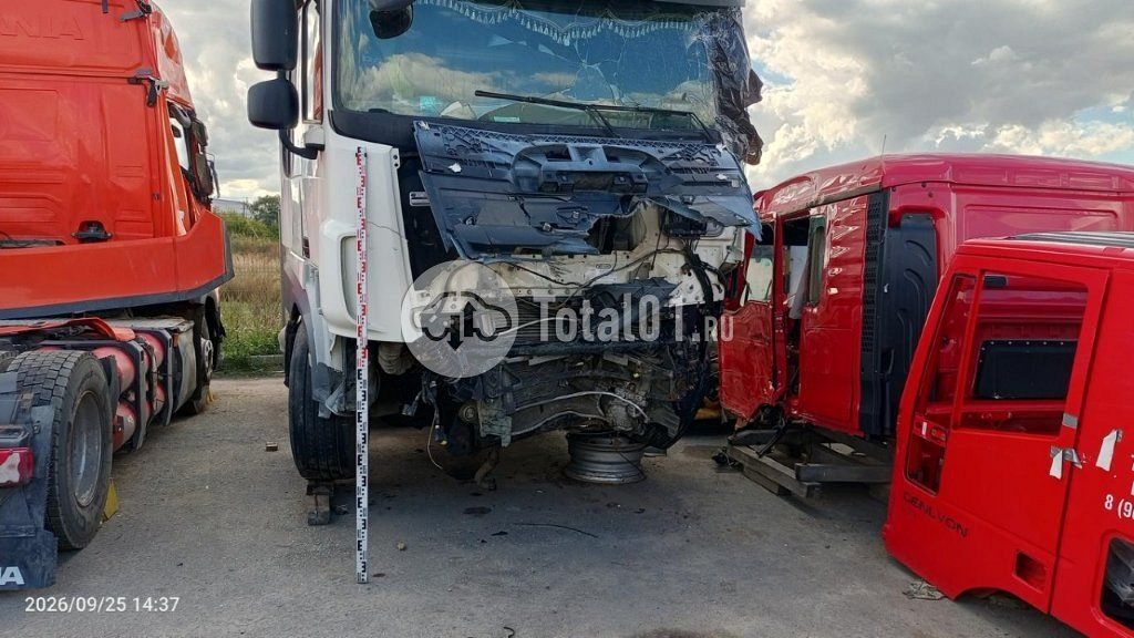 Фото DAF XF 184