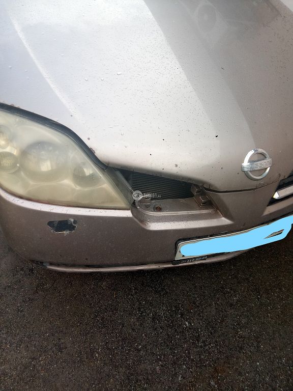 Фото Nissan Primera 114