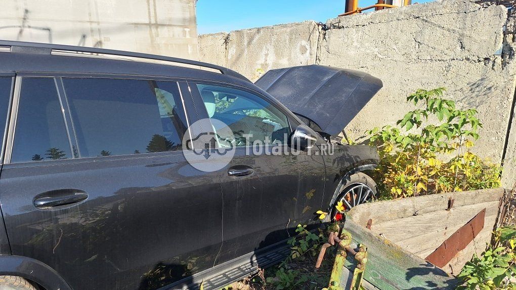 Фото Mercedes-Benz GLS-класс 14