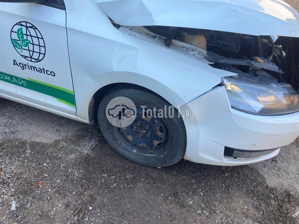 Фото Skoda Rapid 64