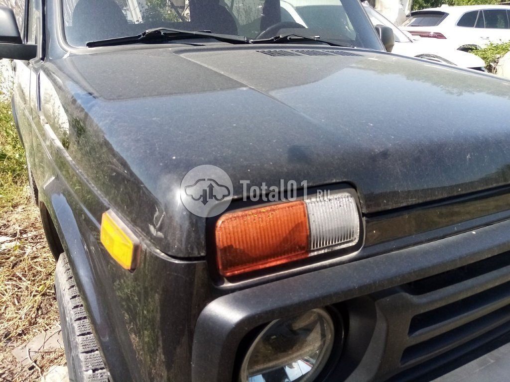 Фото ВАЗ (LADA) 212140 166