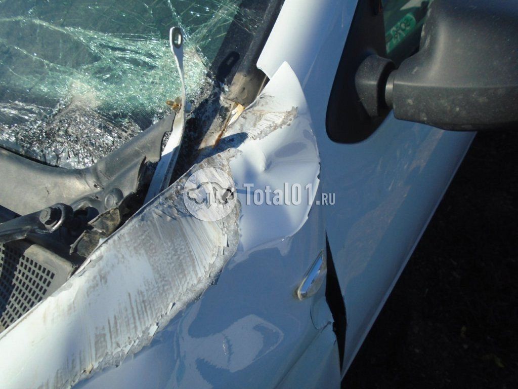 Фото Renault Logan 66