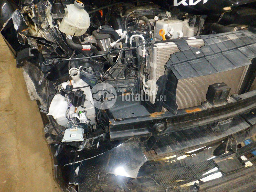 Фото KIA Carnival 112