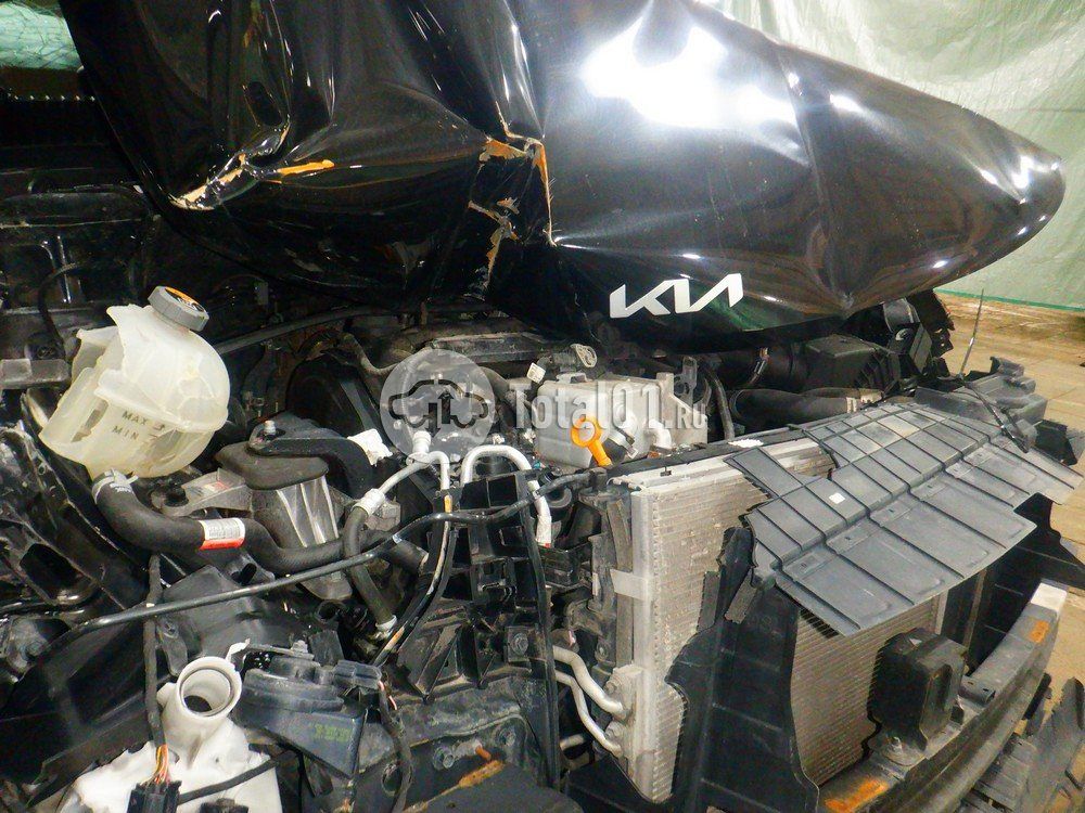 Фото KIA Carnival 120