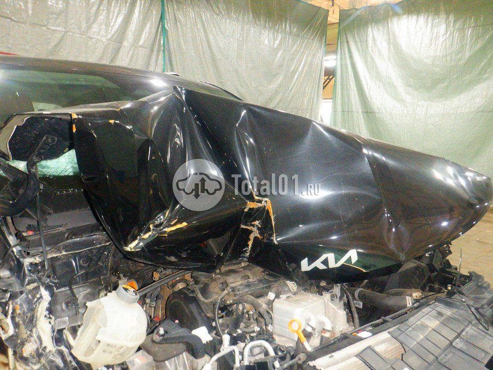 Фото KIA Carnival 122