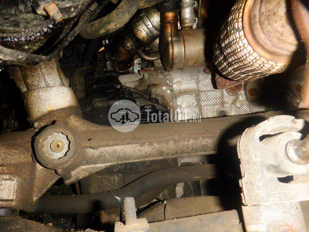 Фото KIA Carnival 278