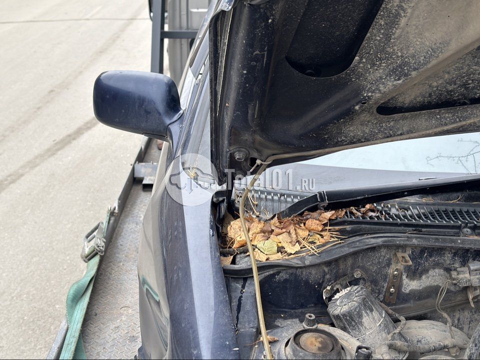 Фото Toyota Corsa 16
