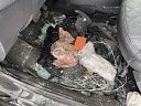 Фото Nissan Terrano 122