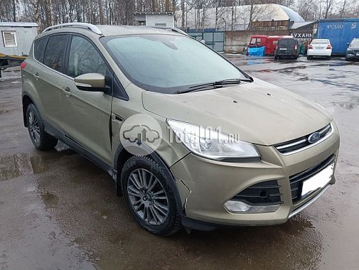 Купить Ford Kuga