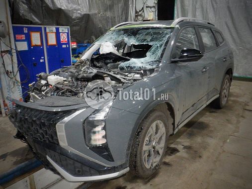 Купить Hyundai Mufasa