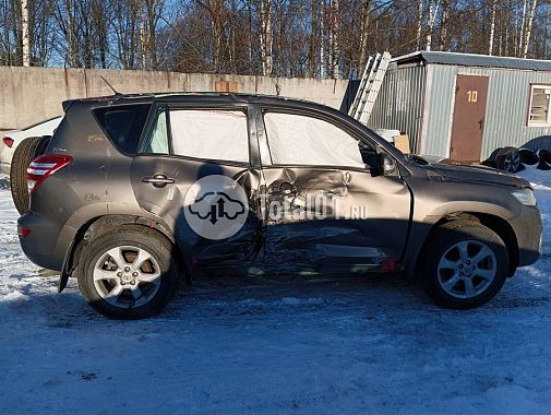 Купить Toyota RAV4