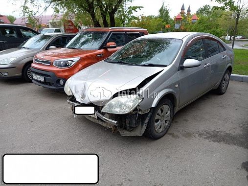 Купить Nissan Primera
