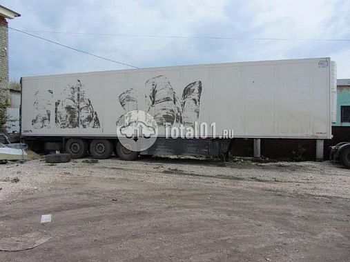 Купить Schmitz Cargobull SKO