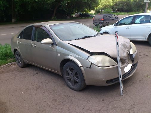 Купить Nissan Primera