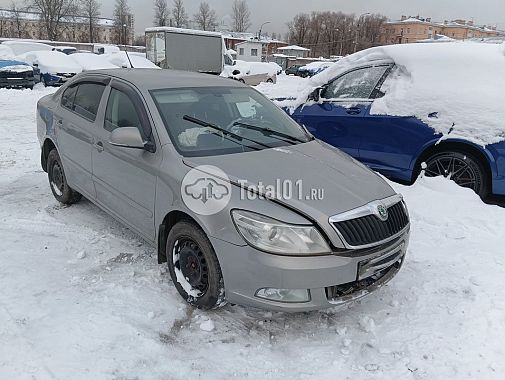 Купить Skoda Octavia