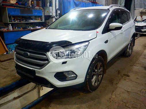 Купить Ford Kuga