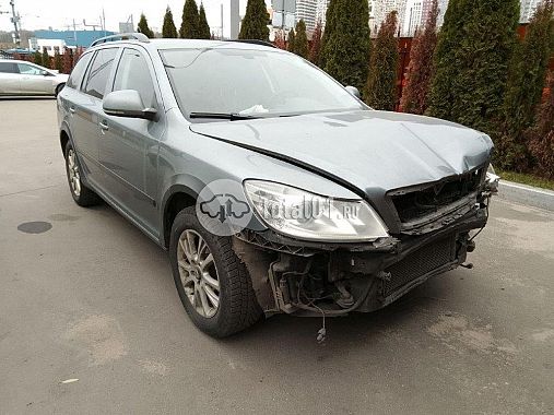 Купить Skoda Octavia