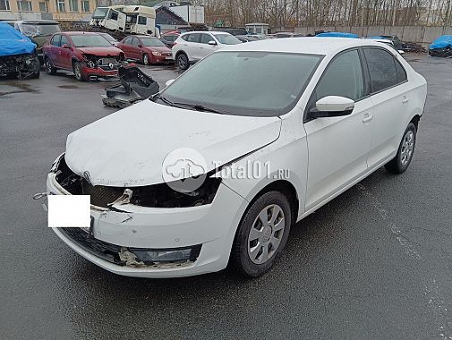 Купить Skoda Rapid