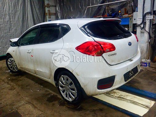Купить KIA cee\'d