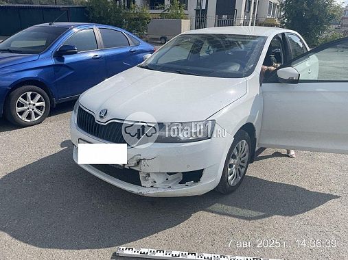 Купить Skoda Rapid
