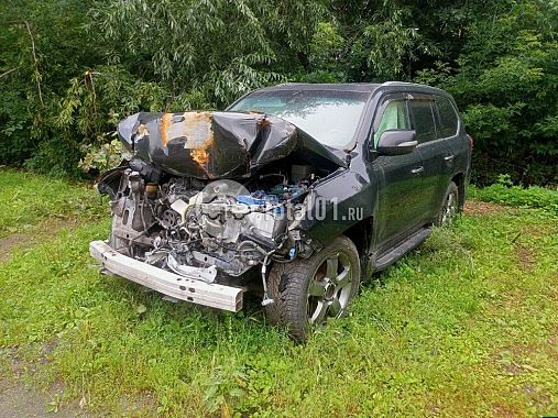 Купить Lexus LX