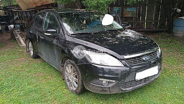 Купить Ford Focus
